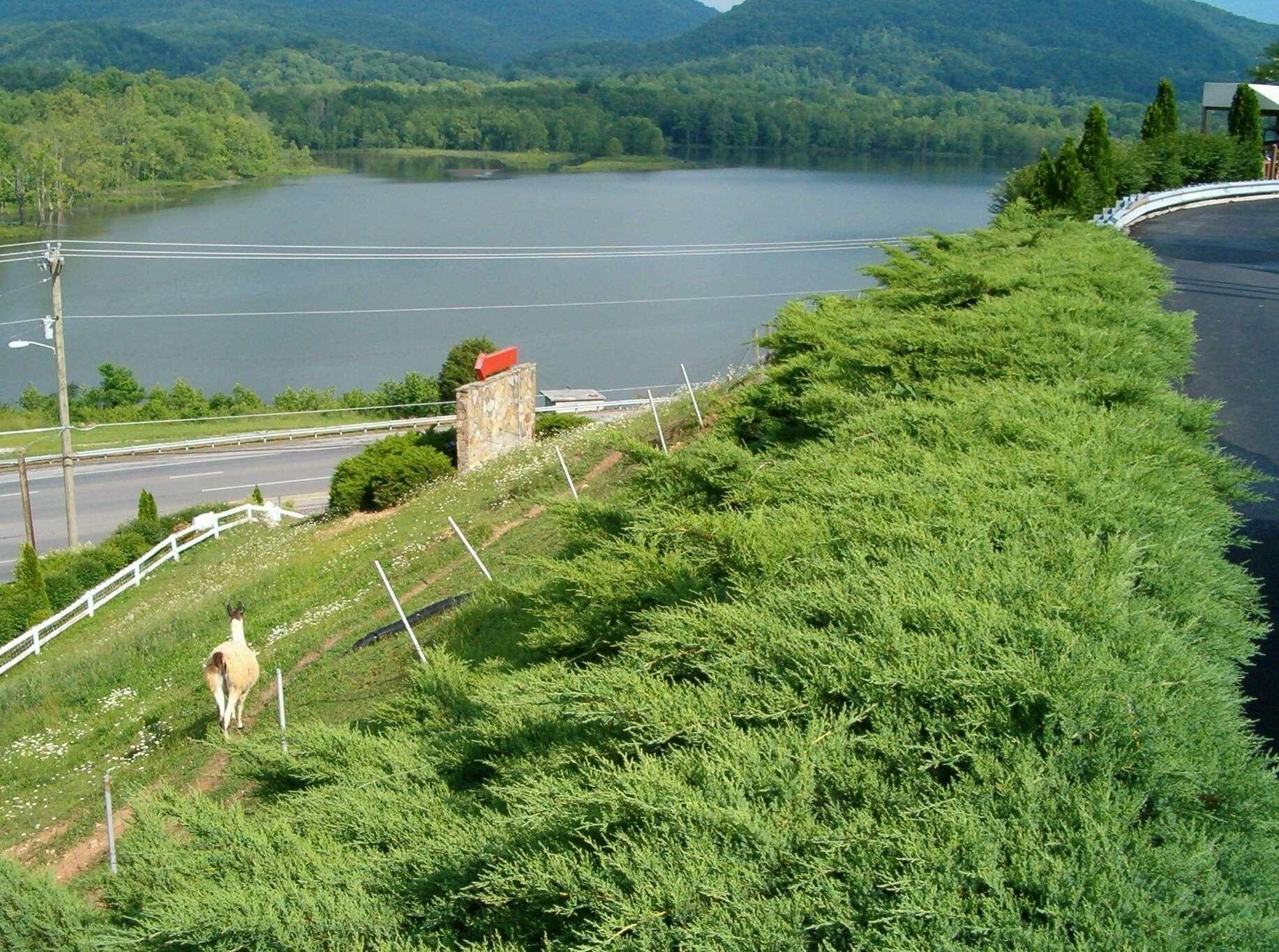 Hampton Caryville-i-75/cove Lake-state Park 3*
